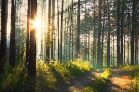 tramonto